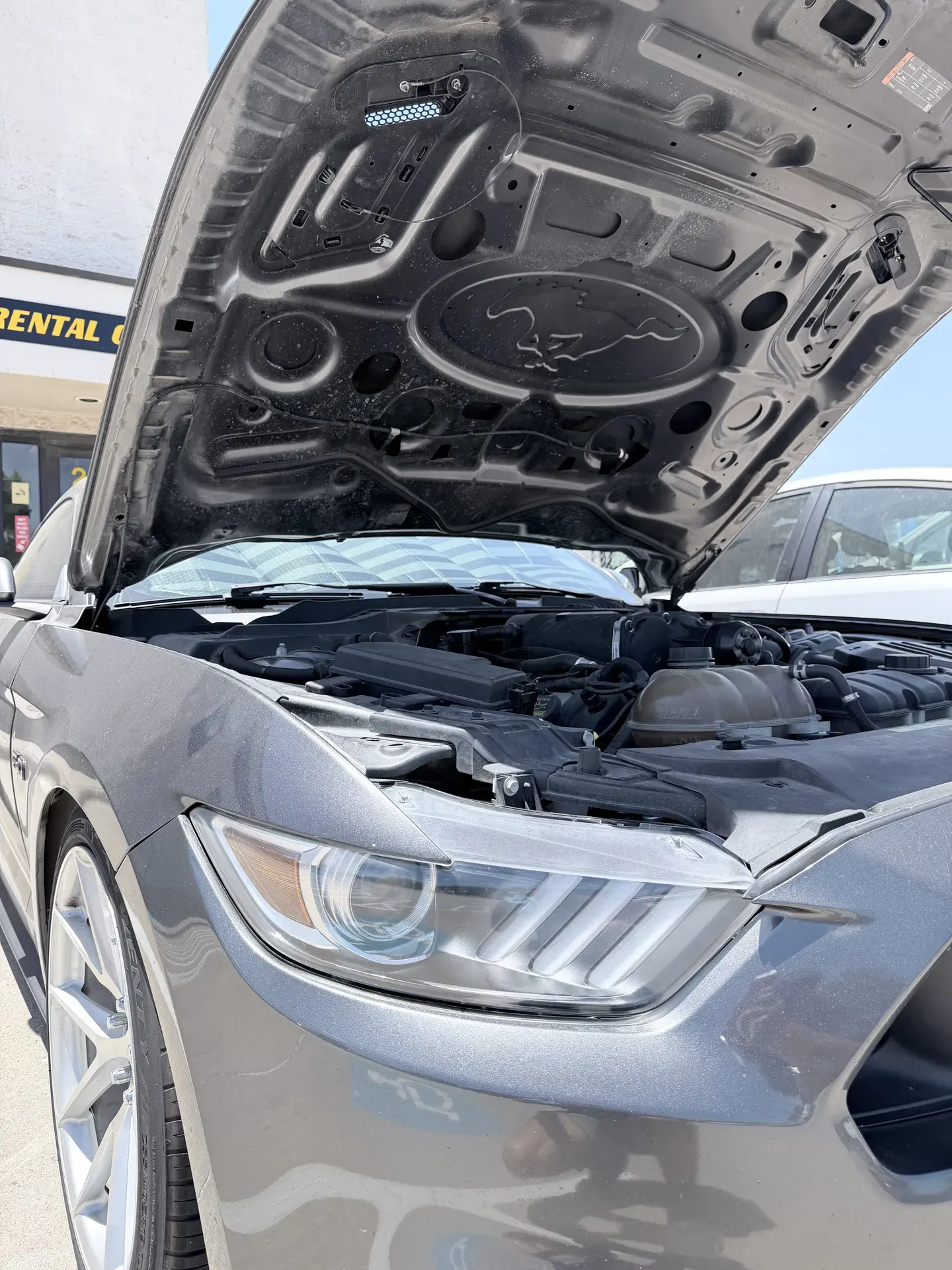 Crystal-clear restored headlight lens on the same Ford Mustang after wet sanding, machine polish, and UV sealant