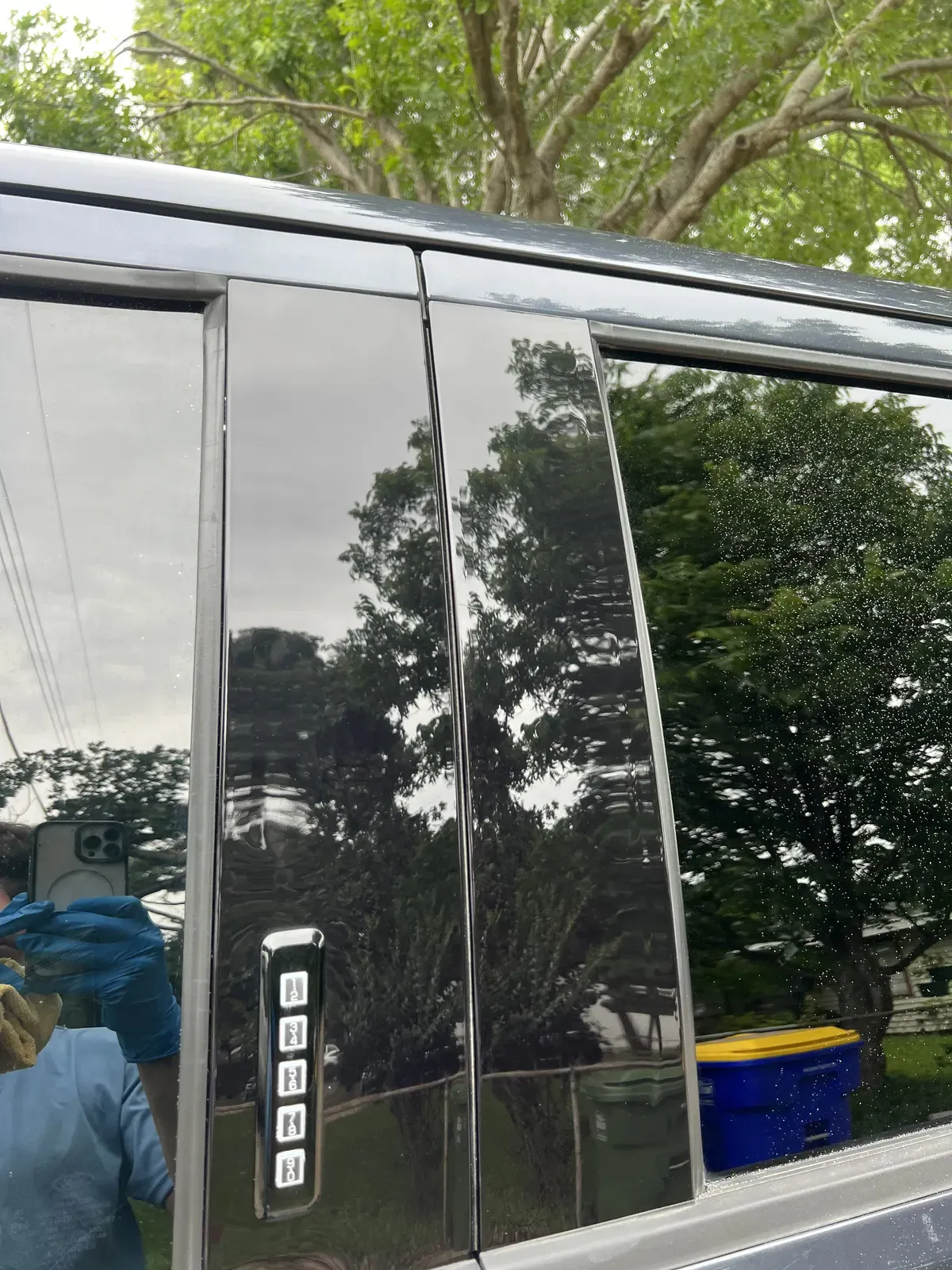 Gloss black door pillar trim reflecting overhead trees crisply after machine paint correction